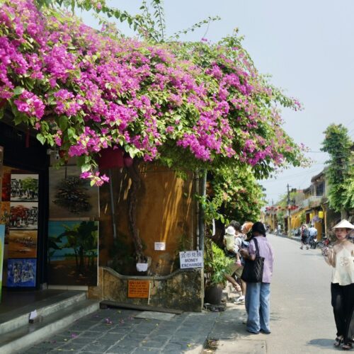hoi an tour